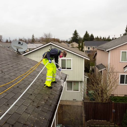 Gutter Cleaning-23