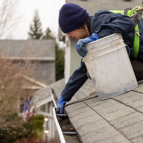 Gutter Cleaning-34
