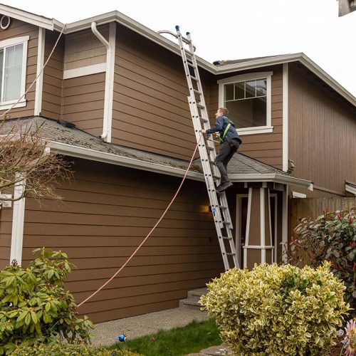 Gutter Cleaning-36